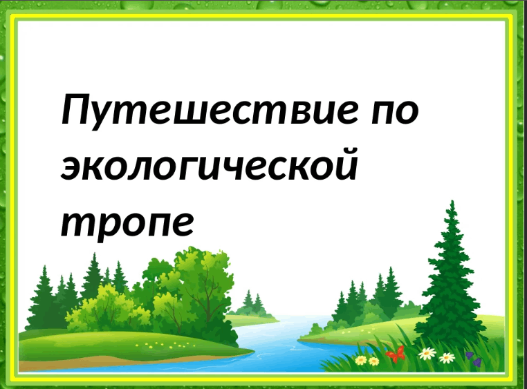 Путешествие по экологической тропе